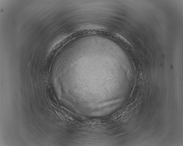 X0000067940775200605041759