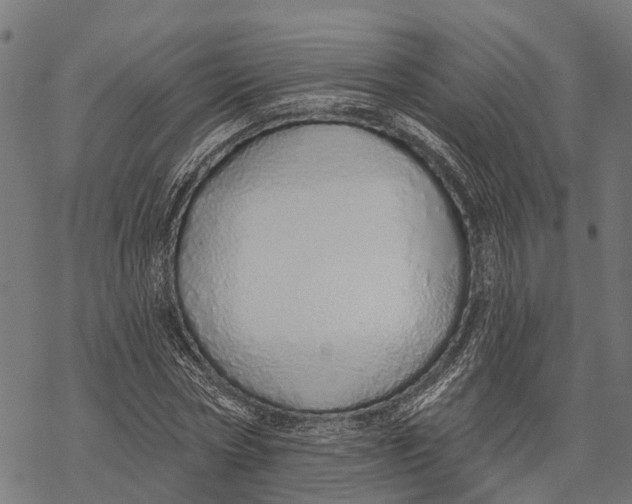X0000067940778200605041759