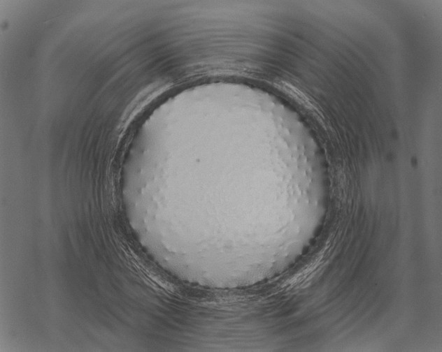 X0000067940782200605041759