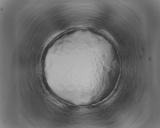 X0000067940787200605041759
