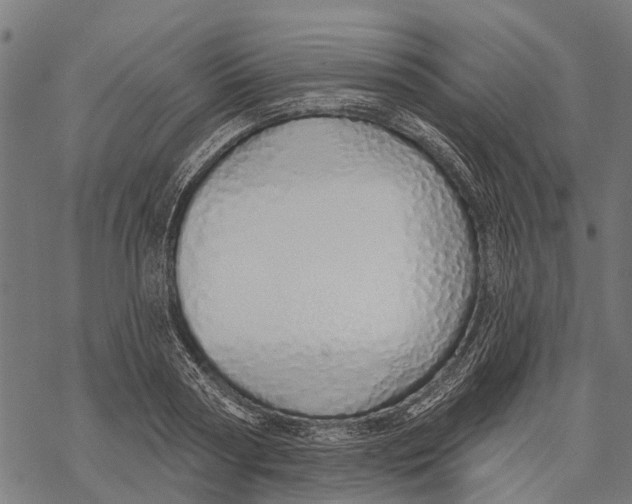 X0000067940794200605041759
