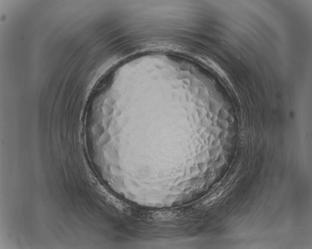 X0000067940799200605041759