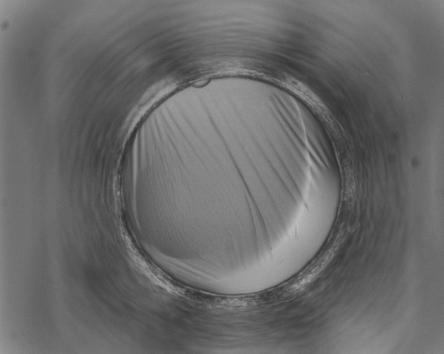 X0000067940806200605041759
