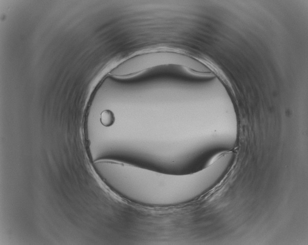 X0000067940813200605041759