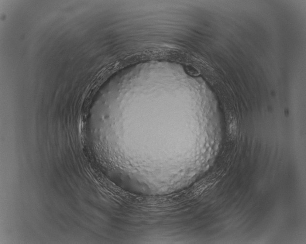 X0000067940819200605041758