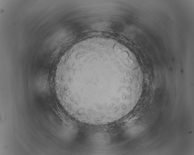 X0000067940820200605041758
