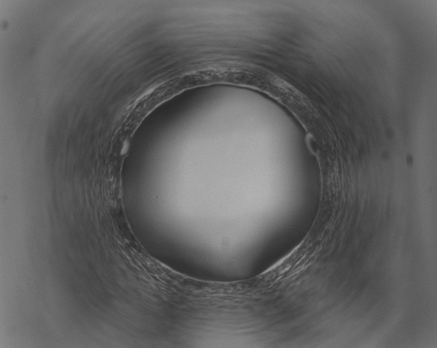 X0000067940822200605041758