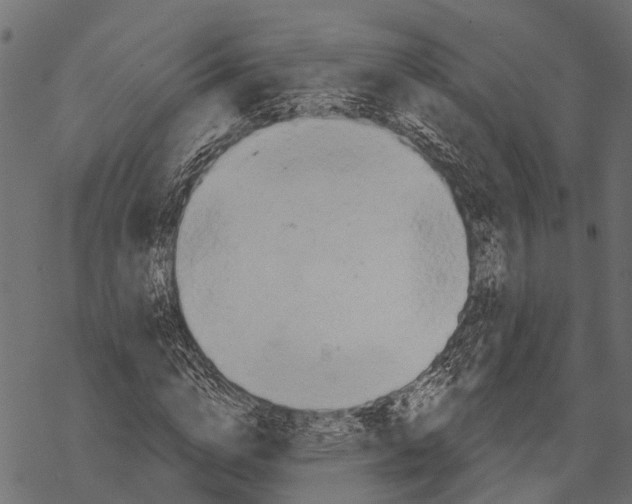 X0000067940824200605041758
