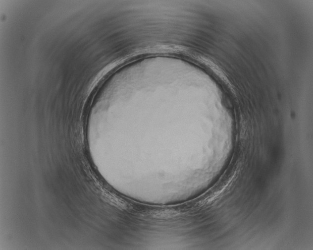 X0000067940837200605041758
