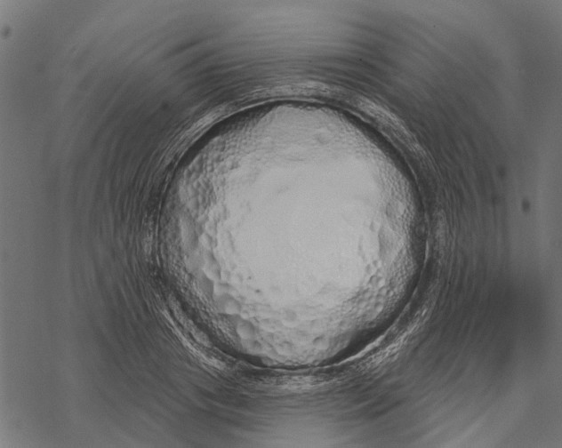X0000067940841200605041758