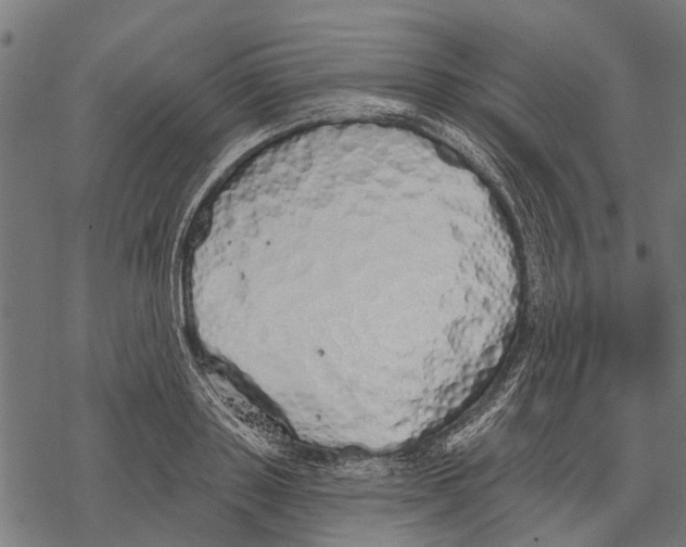 X0000067940843200605041758