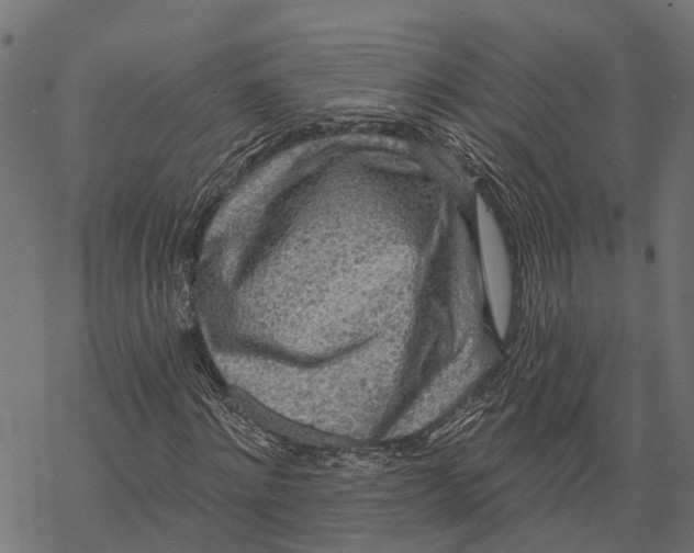 X0000067940868200605041758