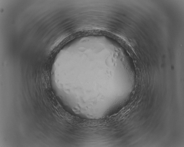 X0000067940871200605041758