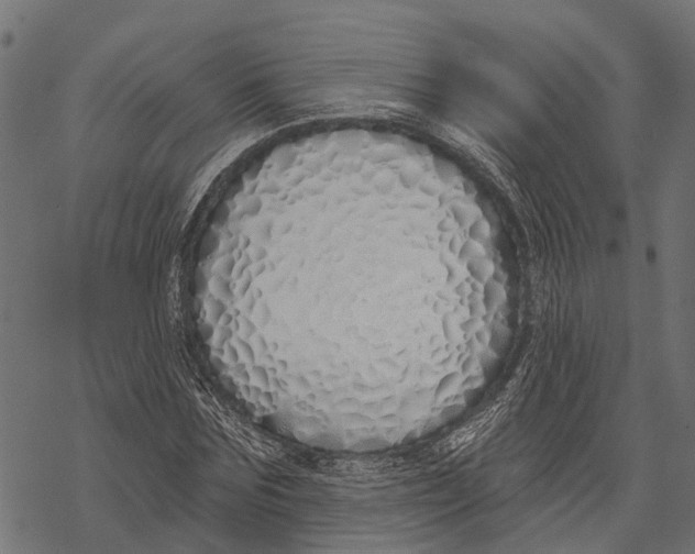X0000067940875200605041758
