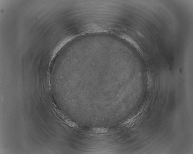 X0000067940878200605041758