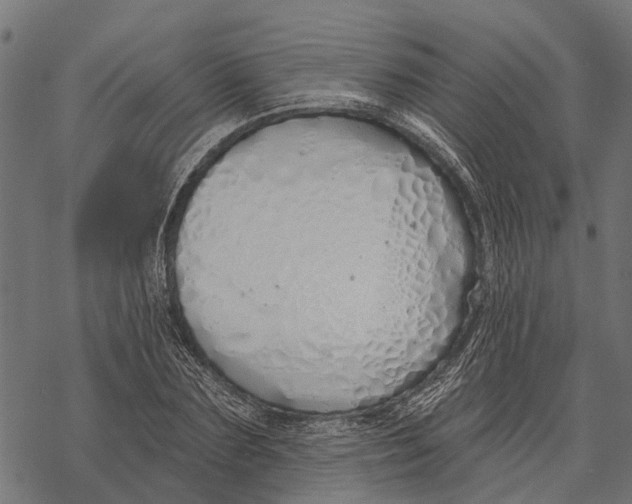 X0000067940883200605041758