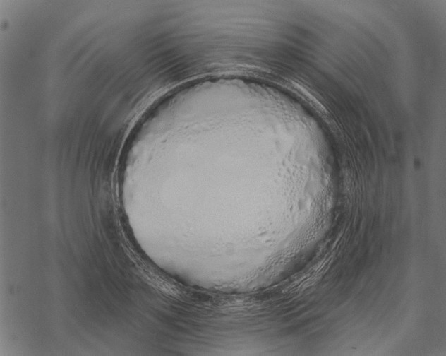 X0000067940891200605041757