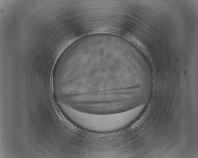 X0000067940892200605041757