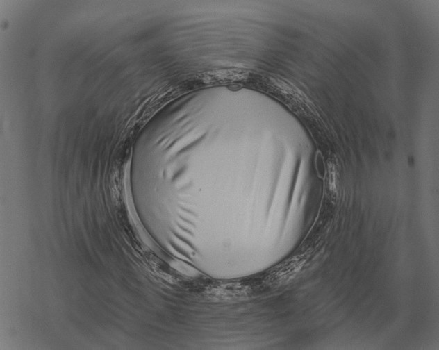X0000067940915200605041756