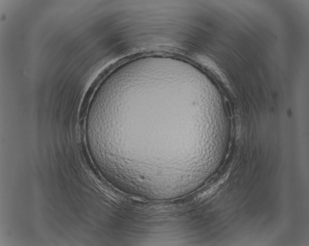 X0000067940924200605041756