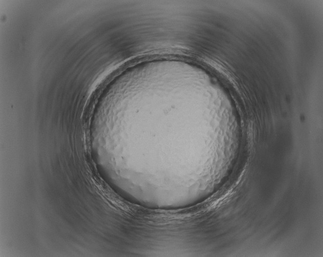 X0000067940925200605041756
