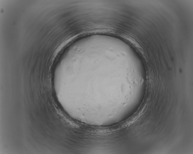 X0000067940933200605041757
