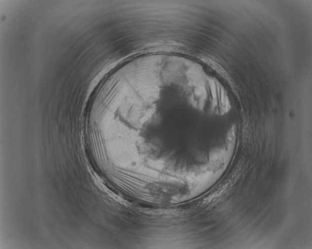 X0000067940941200605041757