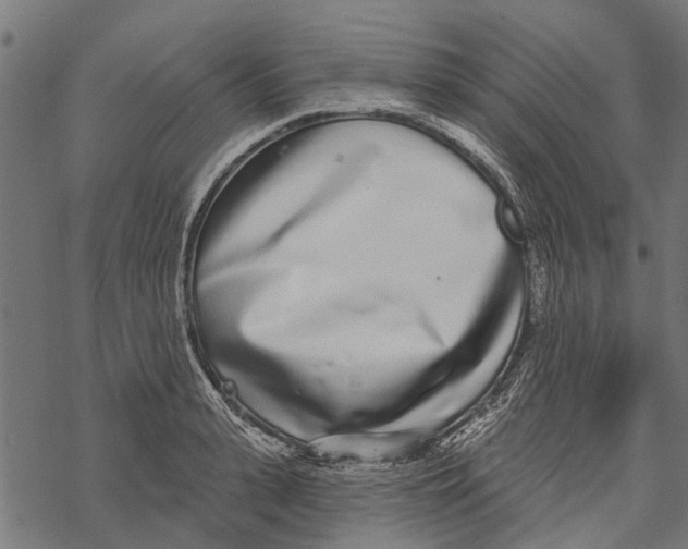 X0000067940943200605041757