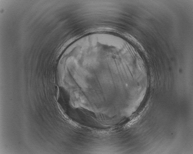 X0000067940945200605041757