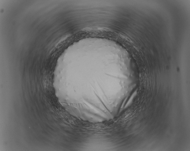 X0000067940966200605041756