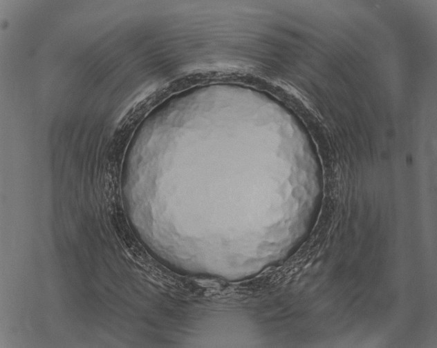 X0000067940967200605041756