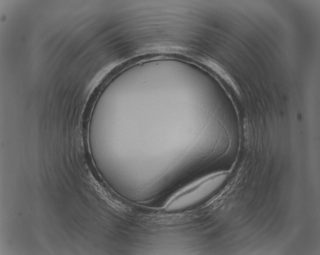 X0000067940972200605041756