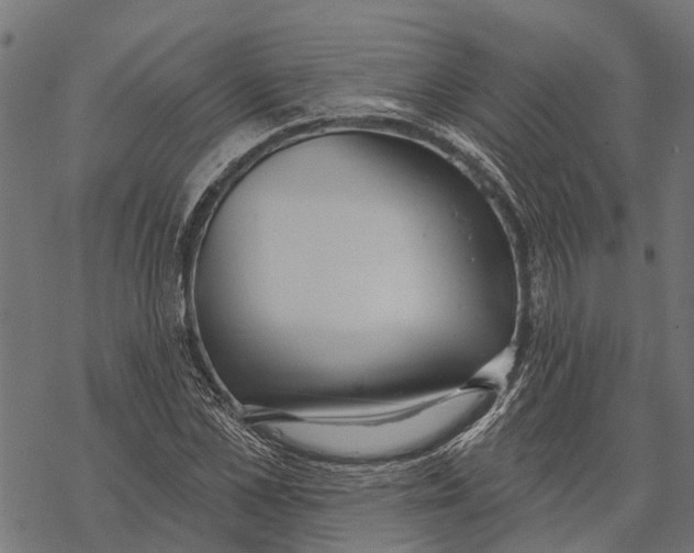 X0000067940973200605041756