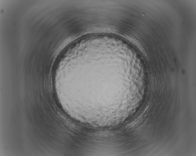 X0000067940982200605041756
