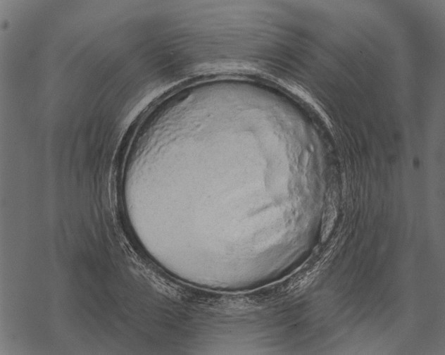 X0000067940983200605041756