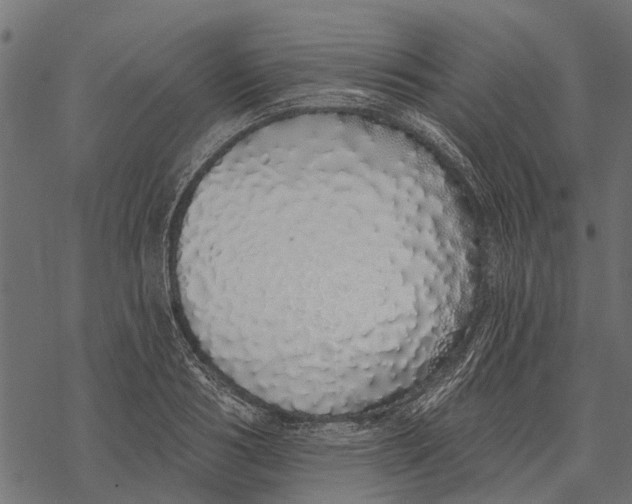 X0000067940986200605041756