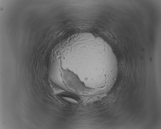 X0000067941009200605041755