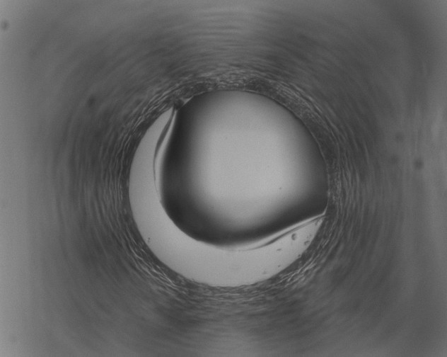 X0000067941010200605041755