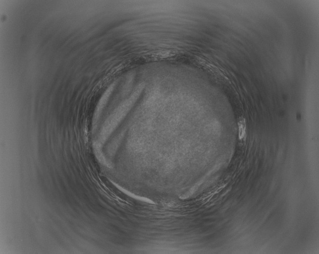 X0000067941011200605041755