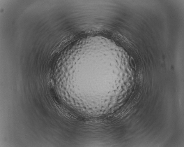 X0000067941012200605041755