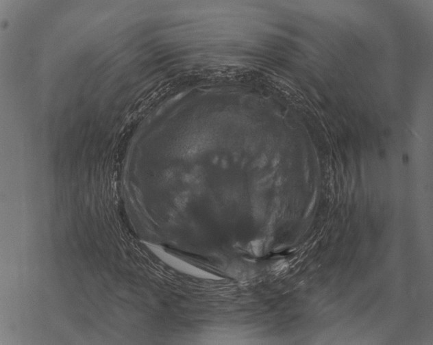 X0000067941013200605041755