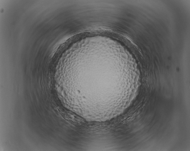 X0000067941016200605041755