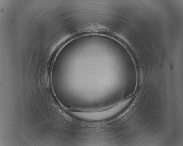 X0000067941018200605041755