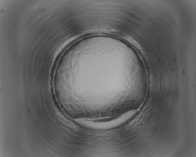 X0000067941020200605041755