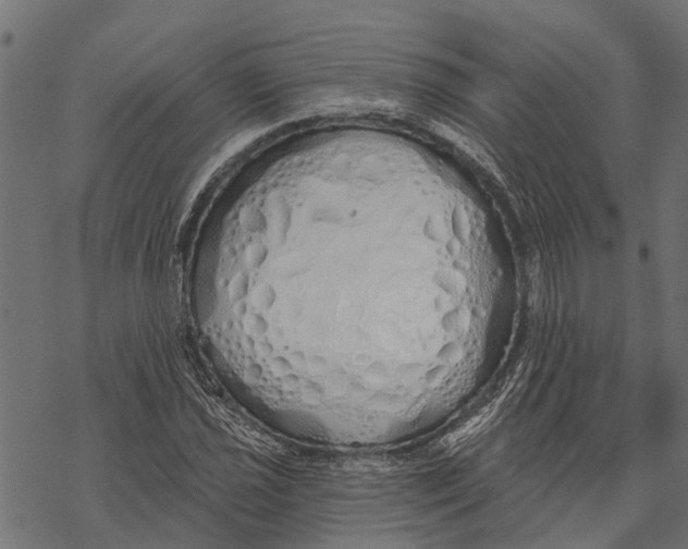 X0000067941021200605041755