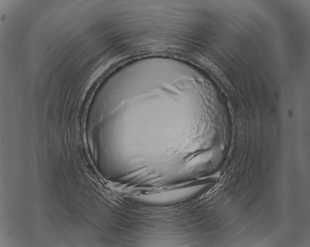 X0000067941023200605041755