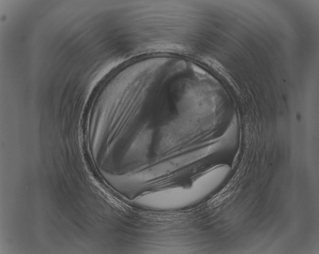 X0000067941024200605041755