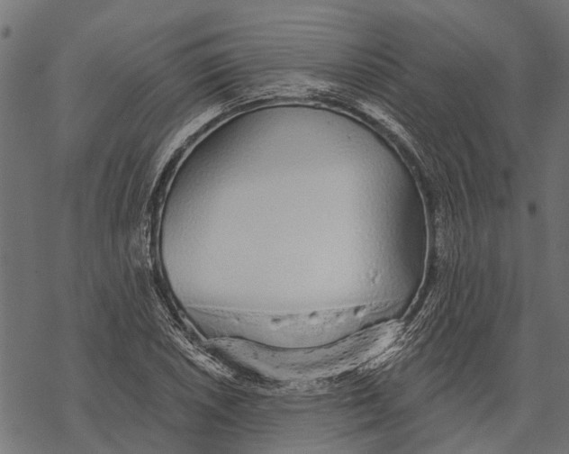 X0000067941026200605041755