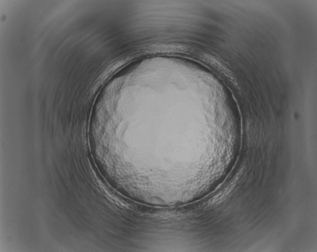 X0000067941033200605041755