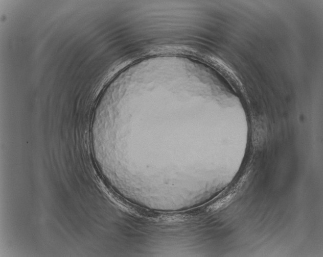 X0000067941041200605041755
